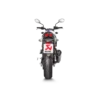 Akrapovic Slip-On Line (Carbon) Suzuki SV 650 (16-)