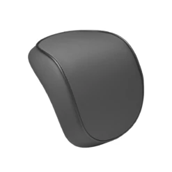 Vespa Rugsteun Grijs Topkoffer Primavera